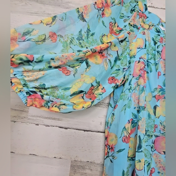LC Laura Conrad, NWOT, Peasant Chiffon Blouse, Fruit Print, Size XXL - Picture 4 of 11